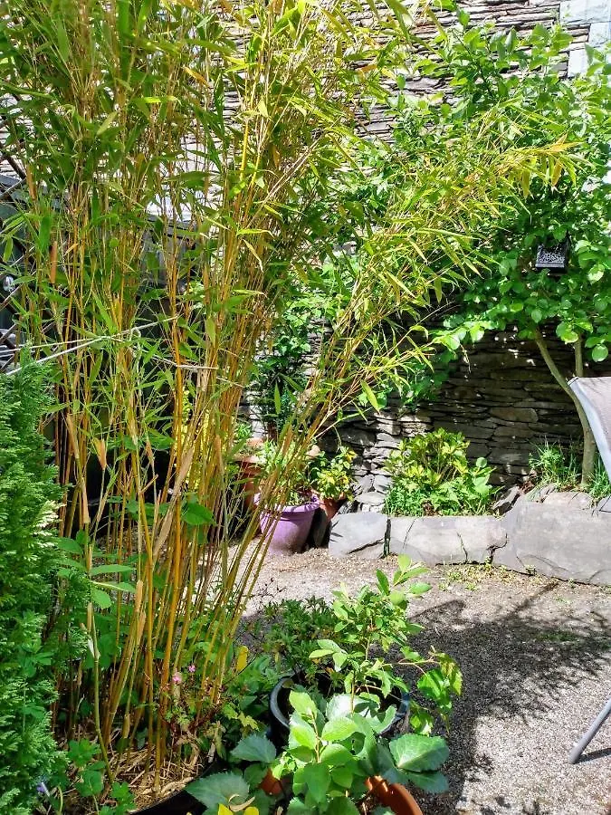 The Lakes Bed and Breakfast 2*