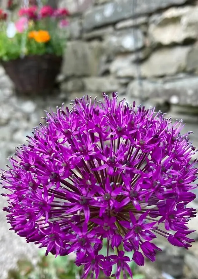 Crookabeck Bed and Breakfast 5*
