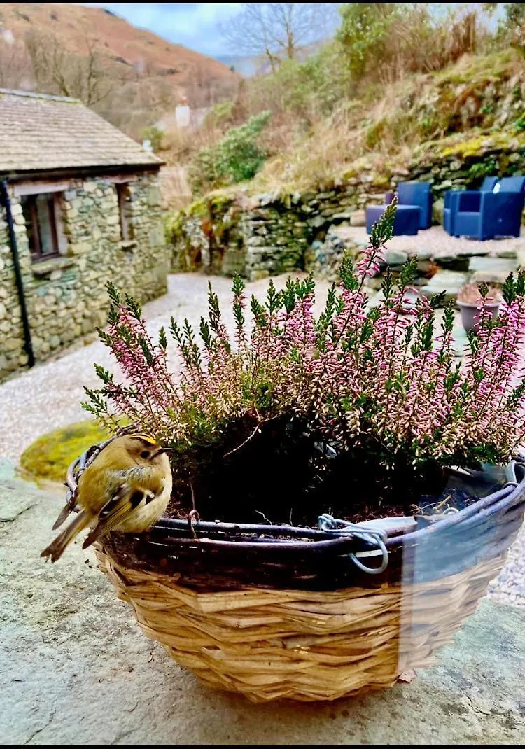 Crookabeck Bed and Breakfast 5*