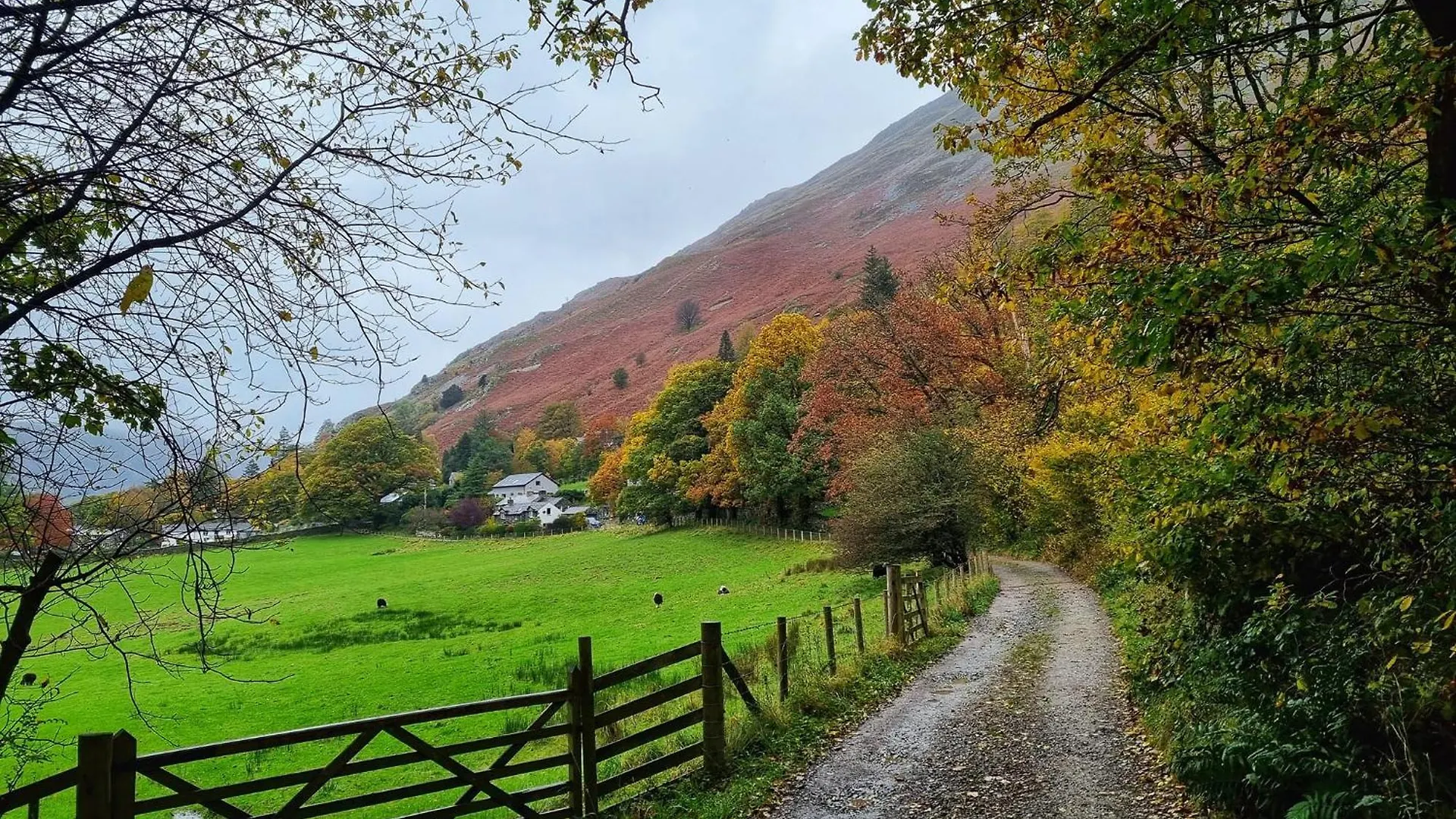 Bed and Breakfast Crookabeck 5*