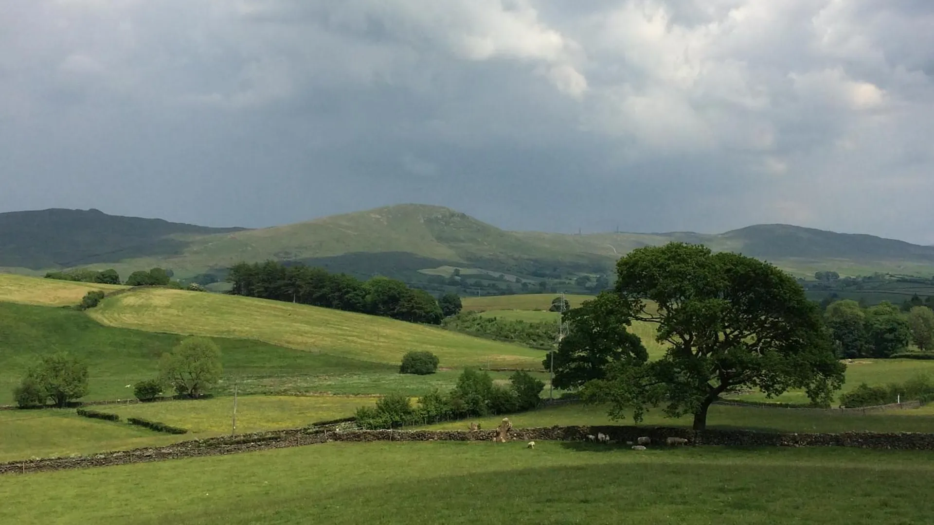 The Paddocks Pod Selside - 'twig' Pet Friendly Ambleside