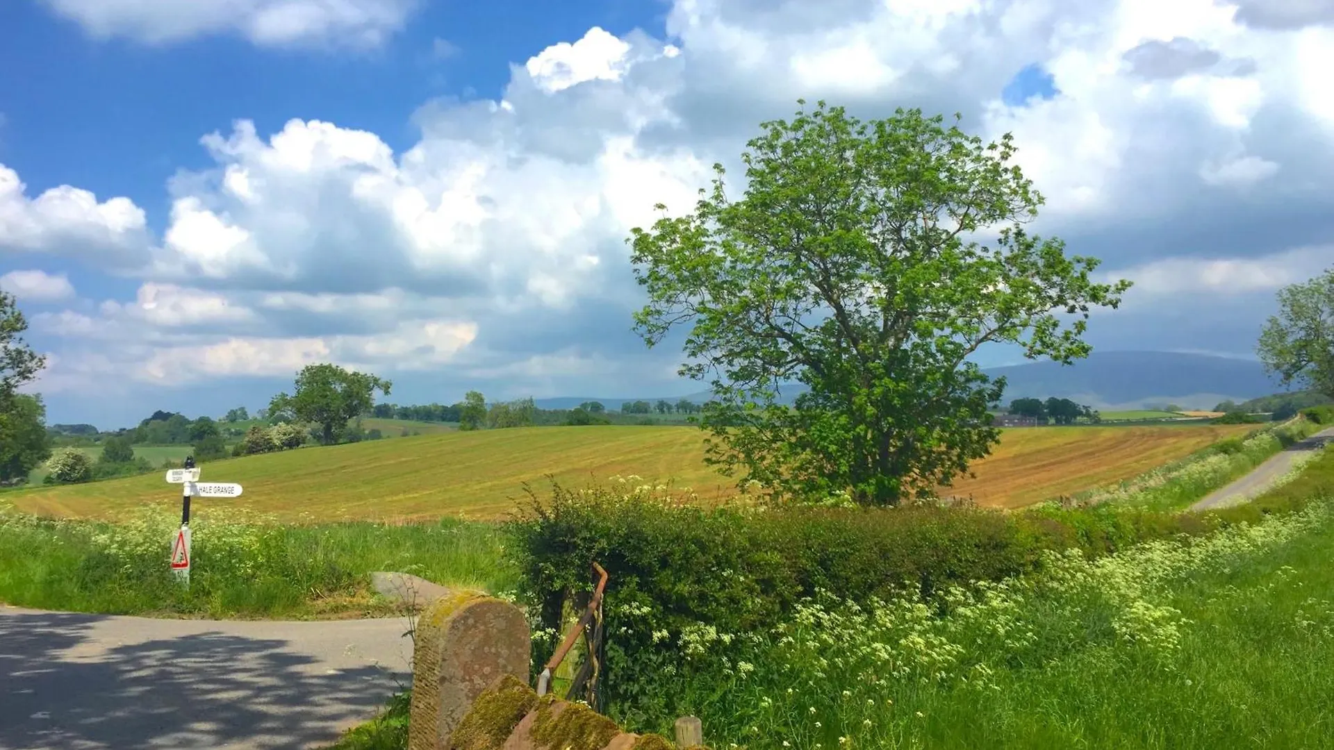 Dunkeld - Close To The District! 度假居 *