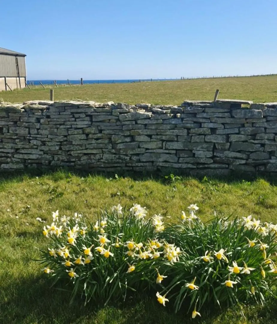 Greenatang,shapinsay,orkney Dom wakacyjny