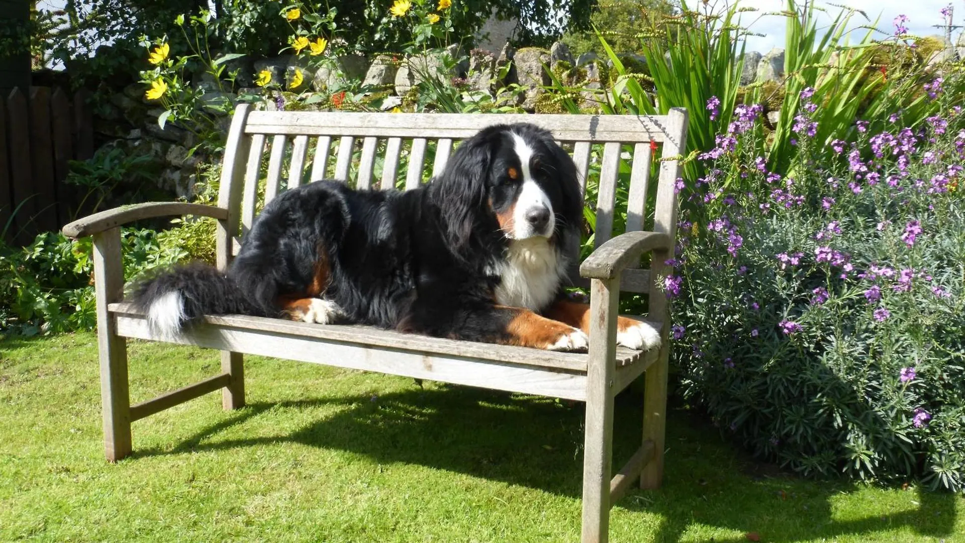Boxtree Cottage, Dacre (Cumbria)