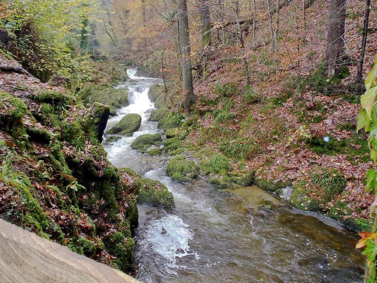 Hollybrook *