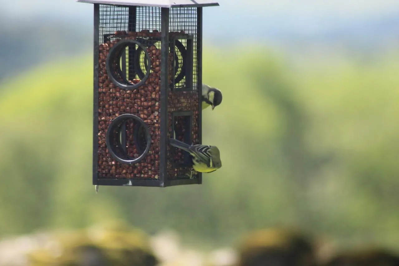 Lane Head Farm Country Гостевой дом 4*