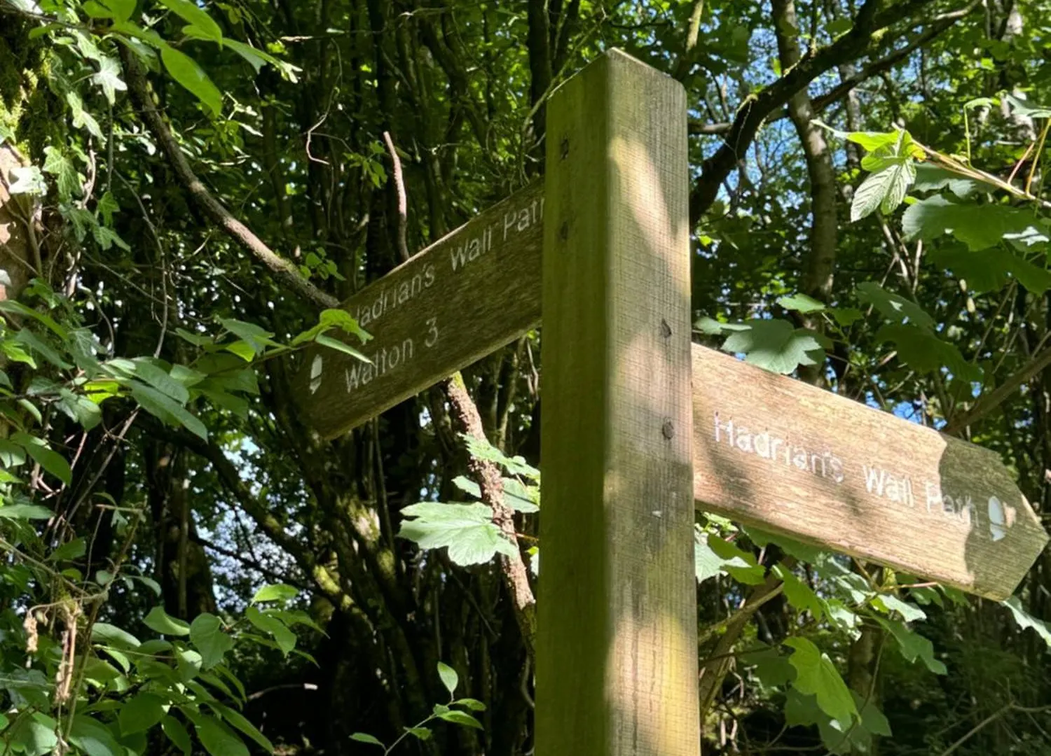 Campsite Lanercost Carlisle (Cumbria)