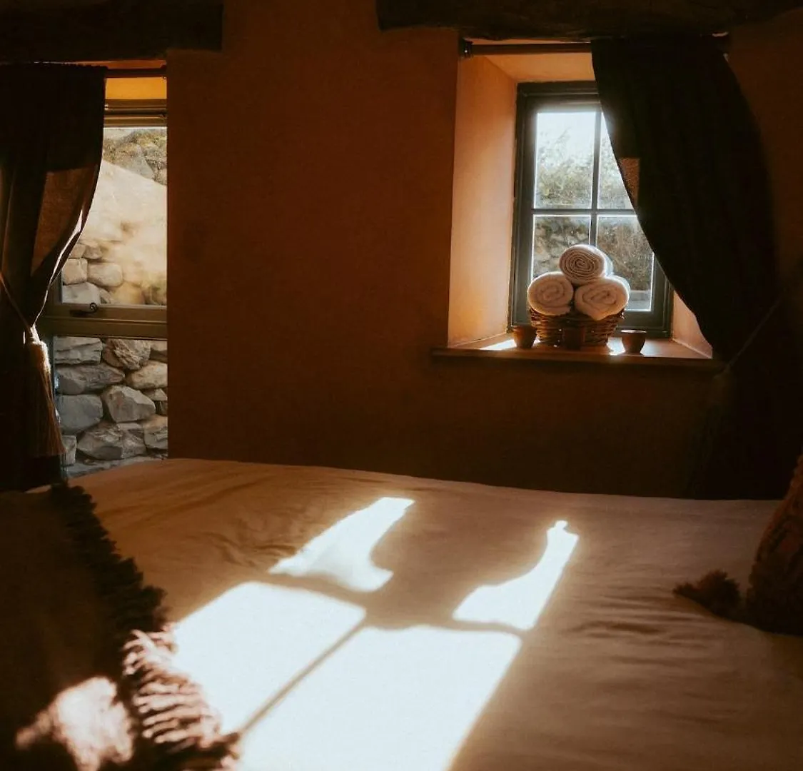 Bumble In Casa vacanze