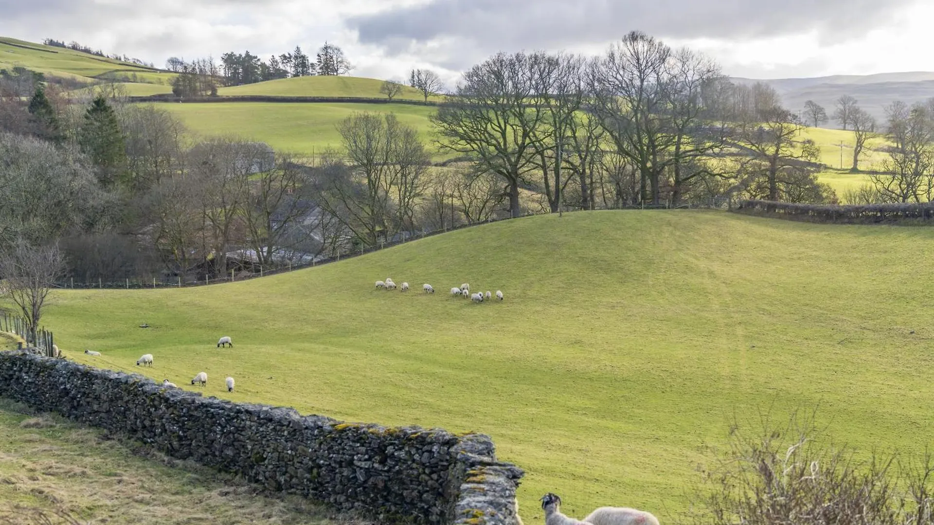 Drawell - Situated On A Working Farm Sedbergh