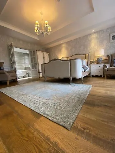 Hostel The Loft *
