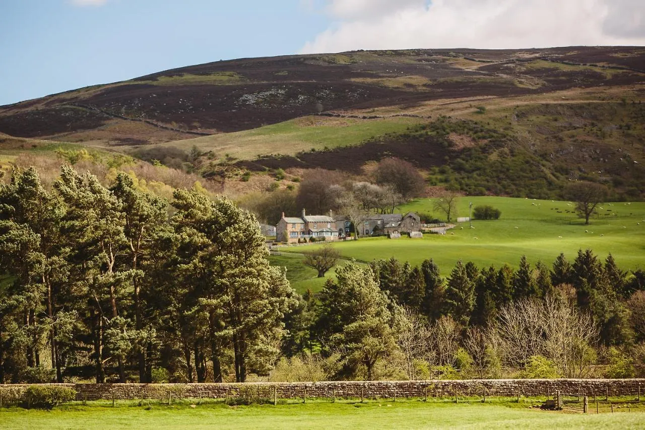 Ash * Castle Carrock
