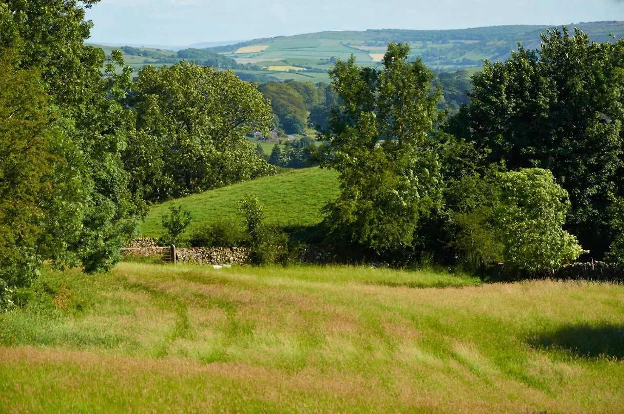 Helm Mount & * Kendal