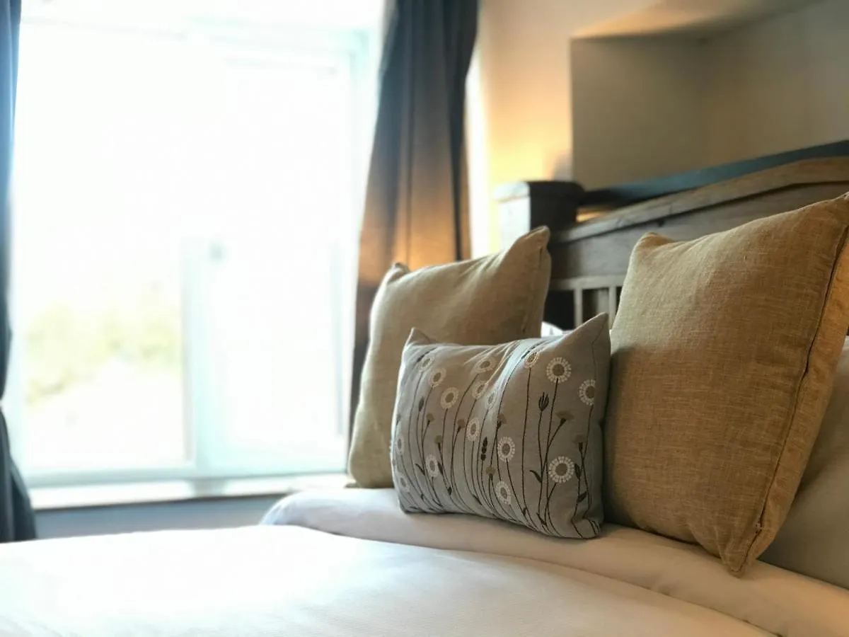 Bed & Breakfast The Black Dog