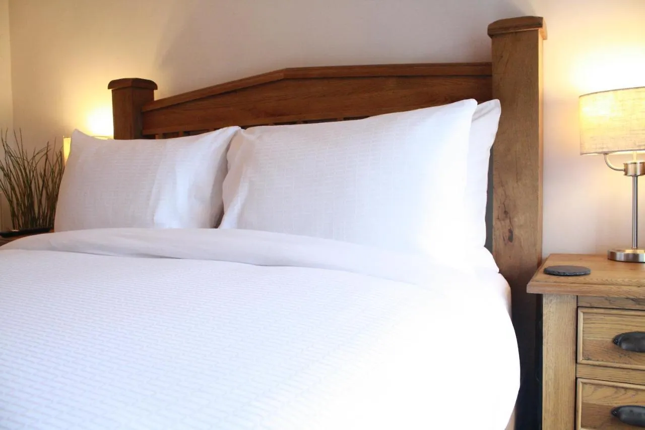 Bed & Breakfast The Black Dog
