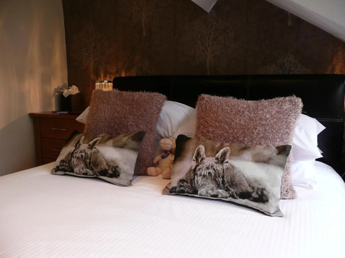 Glenville House - Adults Only - Incl Free Off-site Health Club With Swimming Pool, Hot Tub, Sauna & Steam 4*