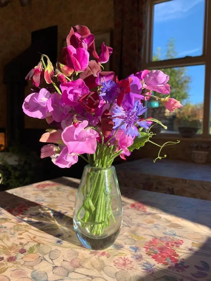 The Blue House Bed & Breakfast