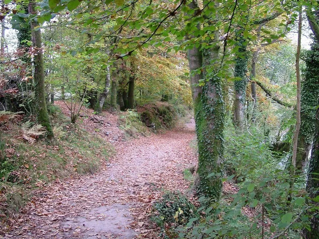 Frühstückspension Glencree Windermere