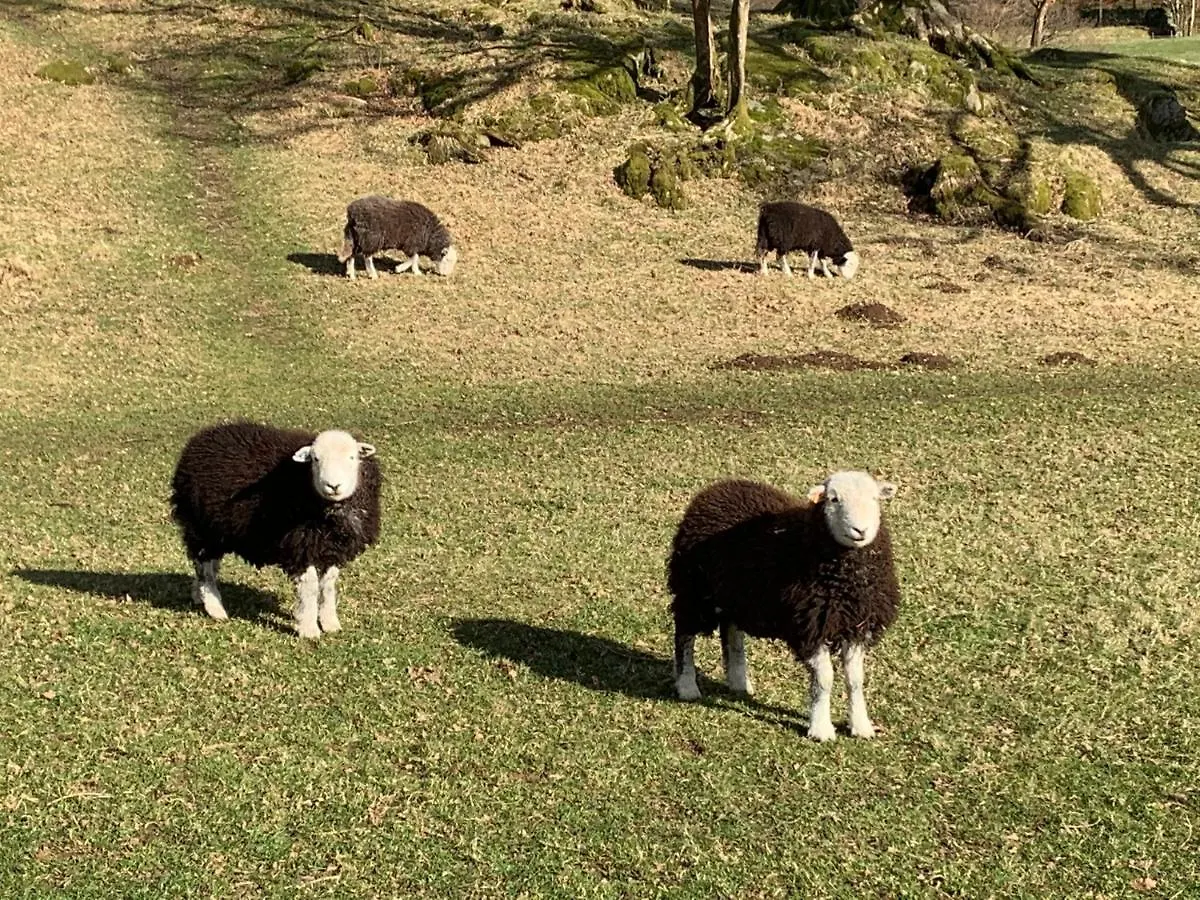 Penzion Ivythwaite