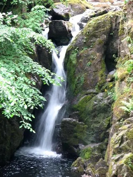 Badger Bar Oda ve Kahvaltı Ambleside