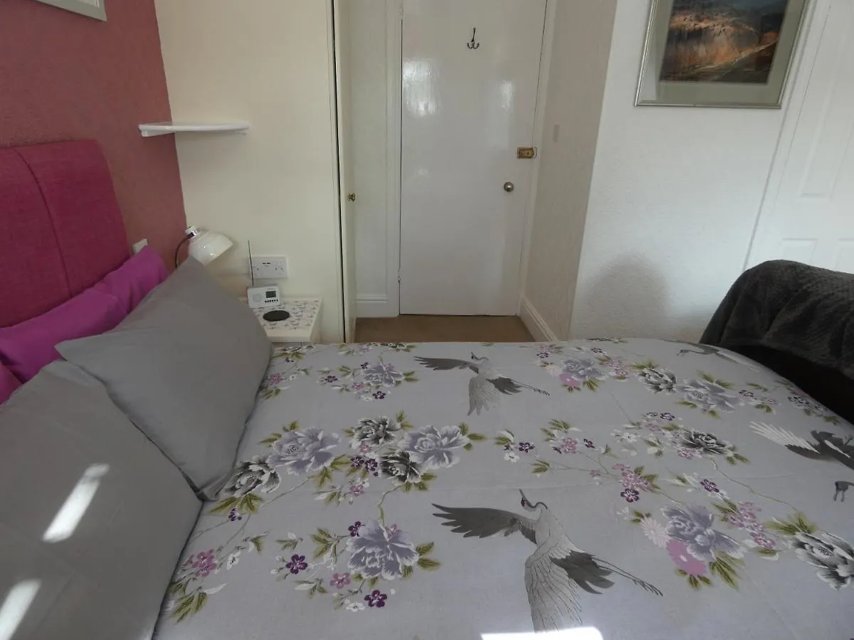 Affittacamere White Rose 4*