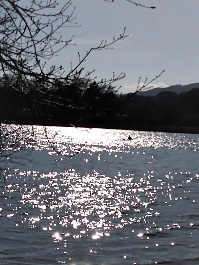 The Lakes 2* Ambleside