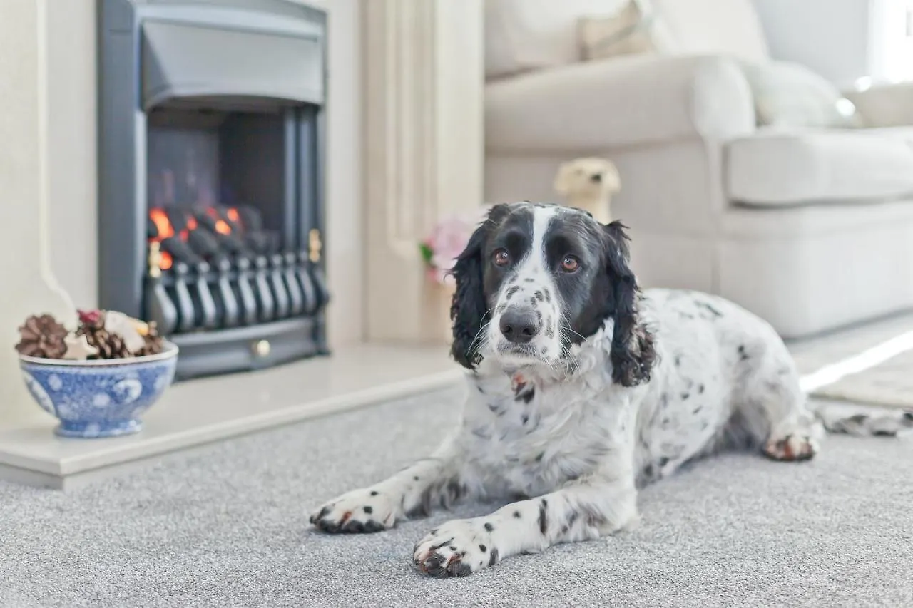 Kents Bank - Pet Friendly With Bay Views Holiday home *