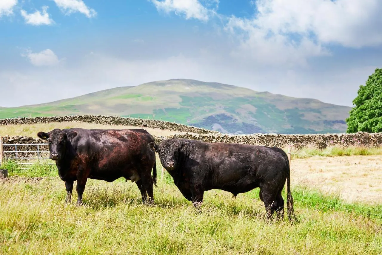 The Dalesman Country 4*