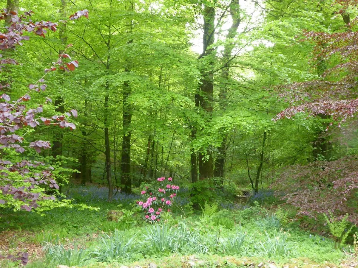 Jock Scar Country Estate