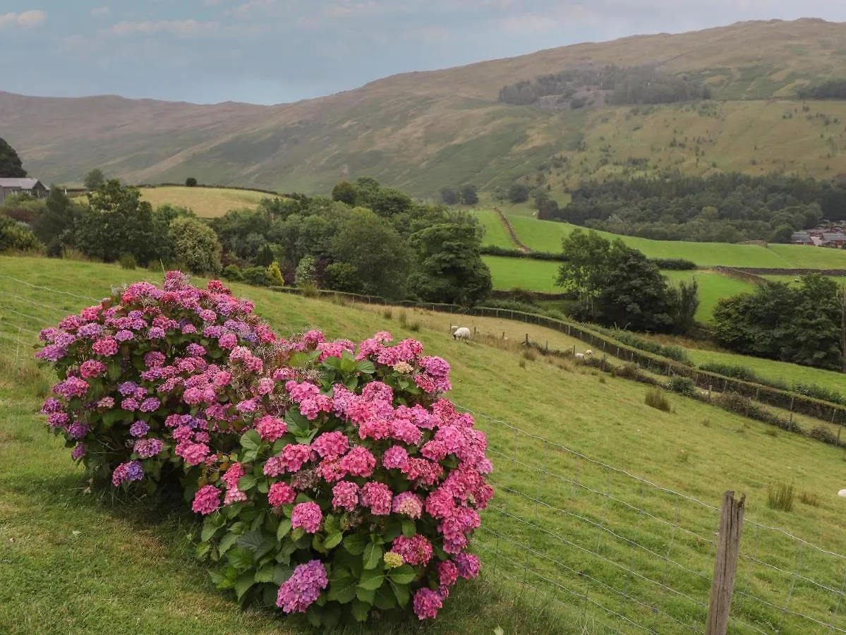 Applethwaite View 公寓 温德米尔