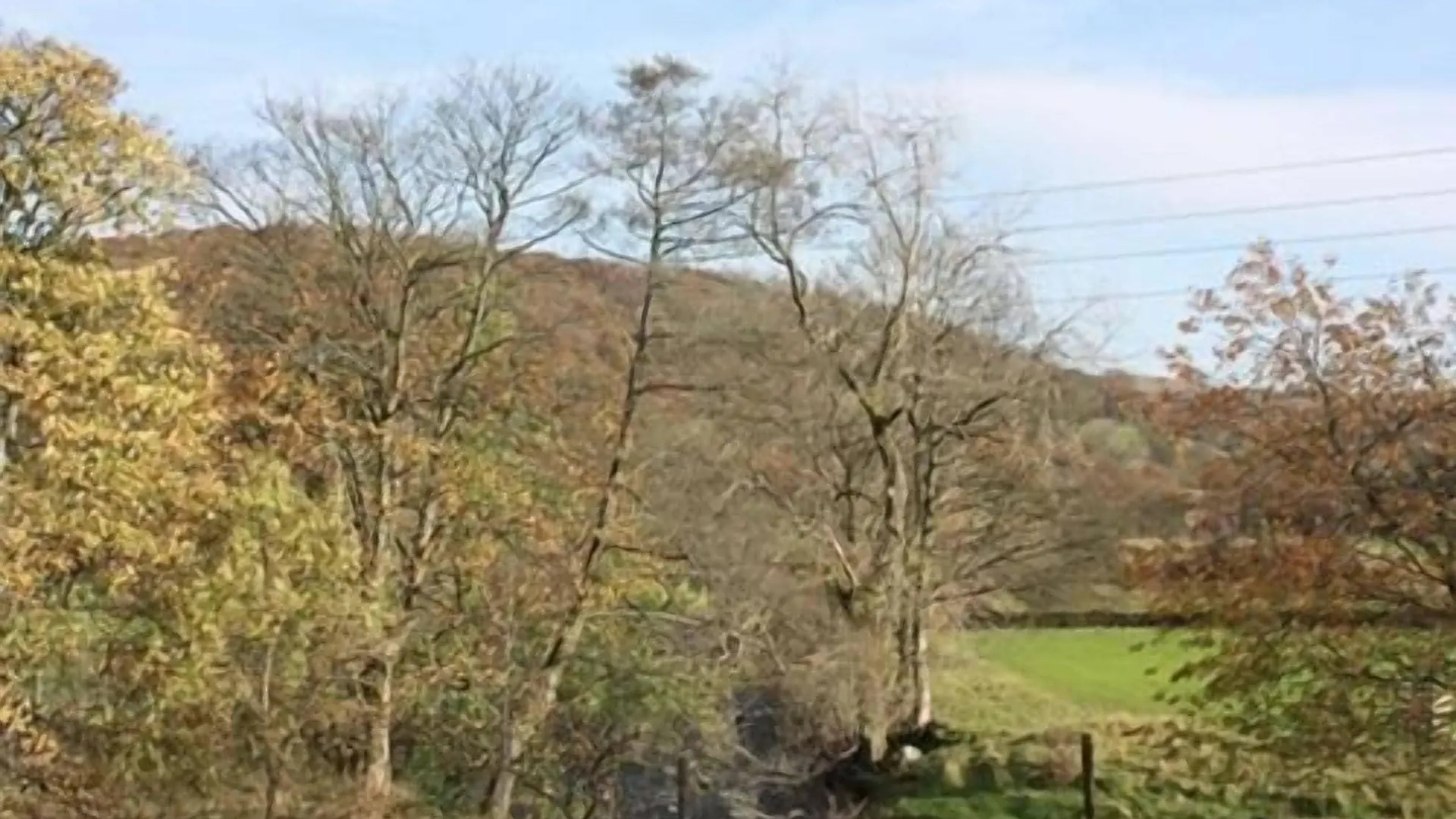 The Eagle And Child Staveley (Cumbria)