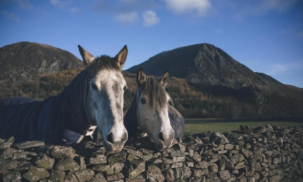 Cedar Nook Holiday home Loweswater