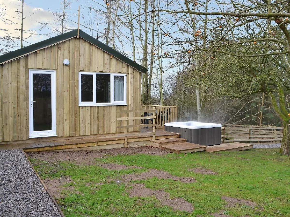 Treehouse Cabin Σπίτι διακοπών Westward