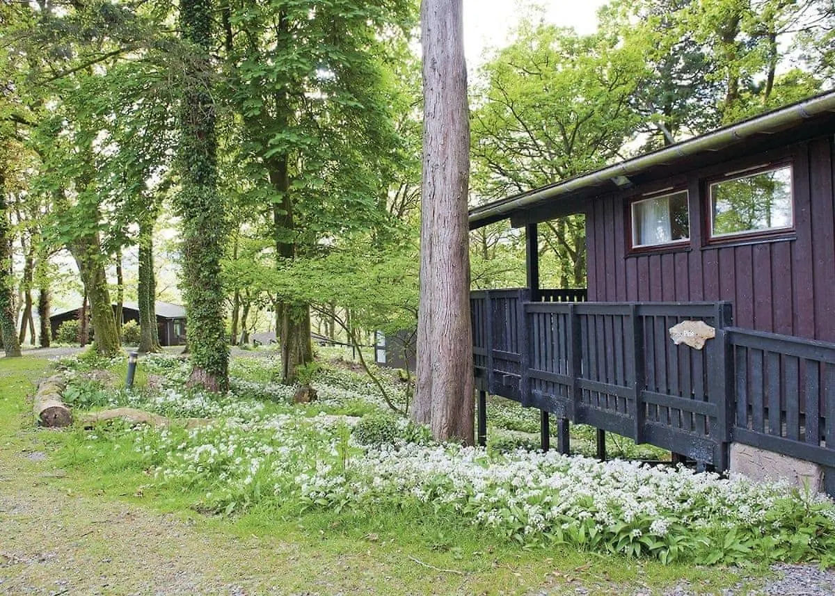 Holiday park Brockwood Hall Lodges *