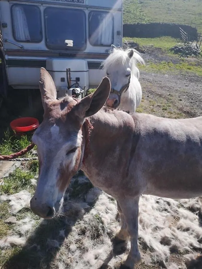 Stybeck Farm Çiftlik konaklama