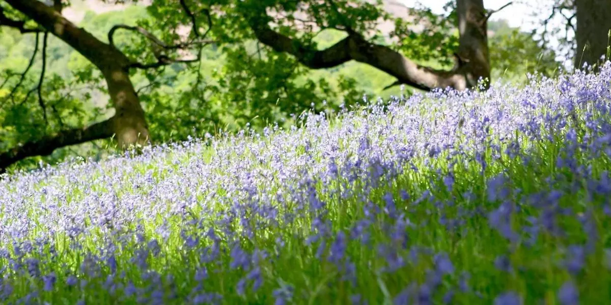 Brathay Hall - Brathay Trust 3*
