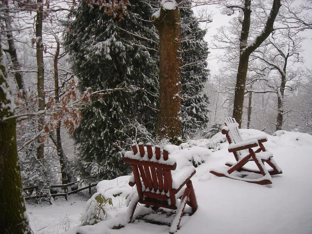 Blelham Tarn Rustic In Tranquil Woodland Holiday home