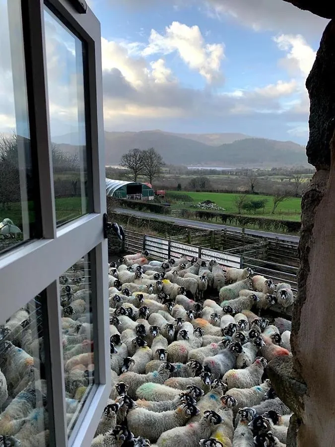 Bed & Breakfast Highside Farm