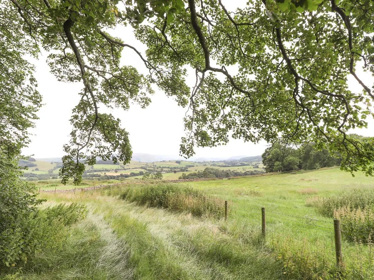 Brow Wood * Penrith