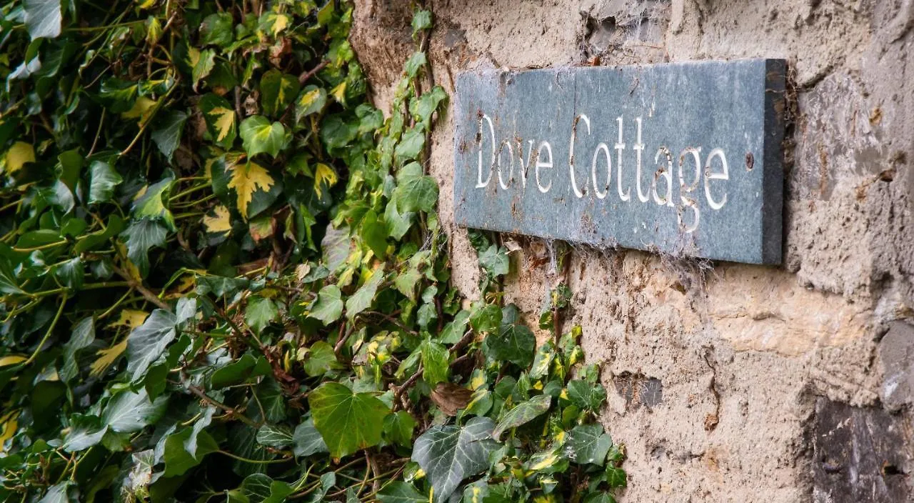 Dove * Near Sawrey