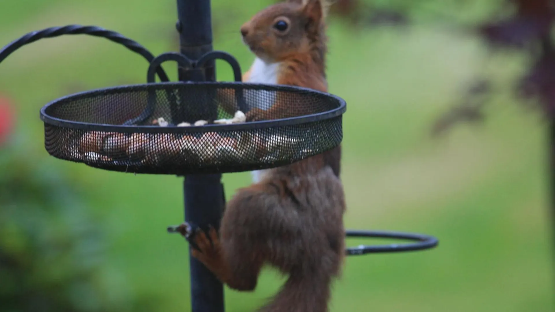 Hazel Bank Borrowdale Valley Hotel