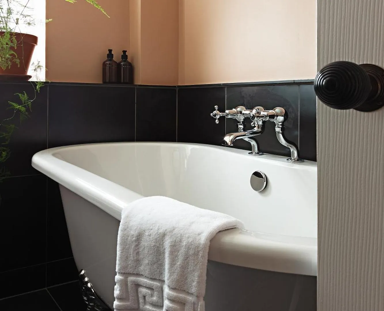 Chestnut 3* Grasmere