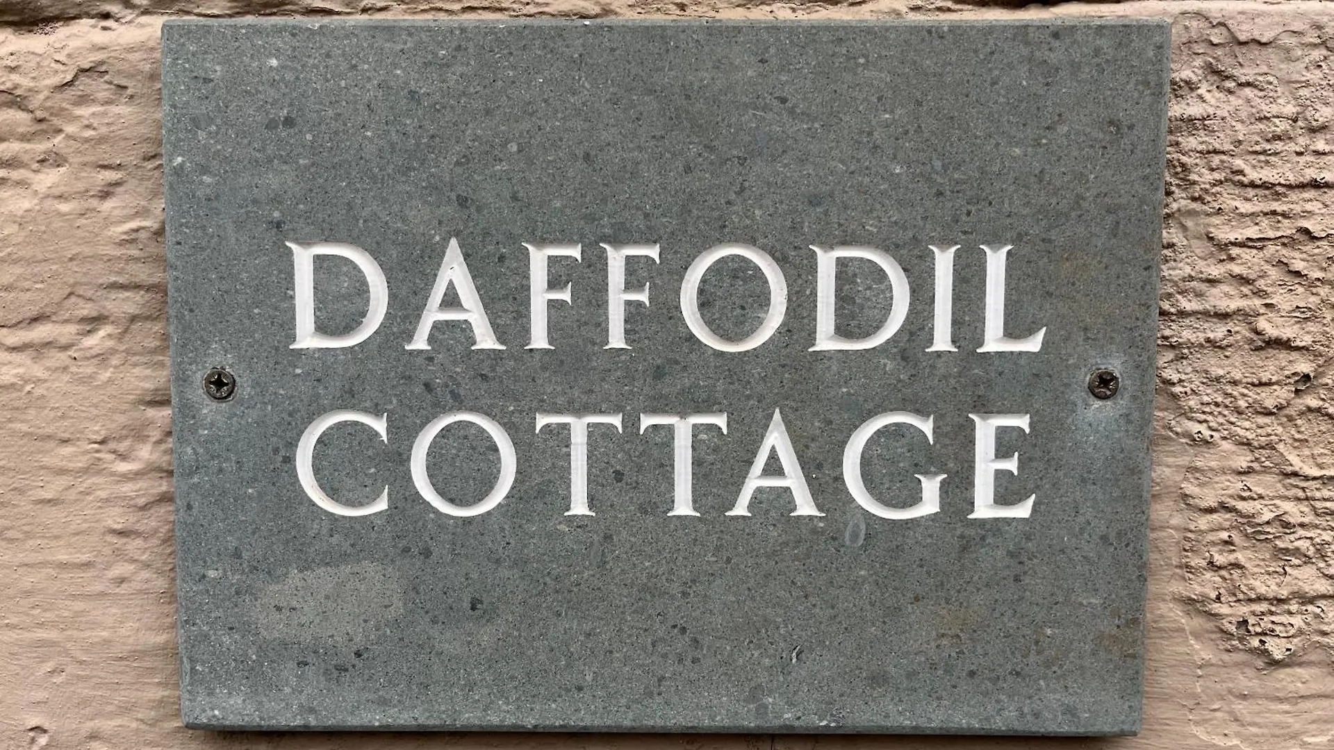 Daffodil *