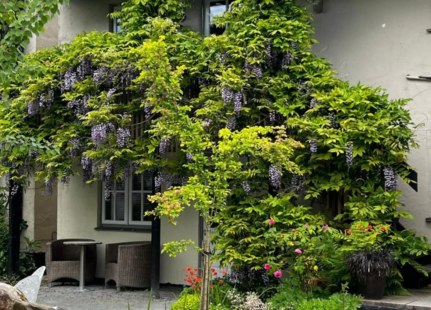 Hotel The Drunken Duck Ambleside