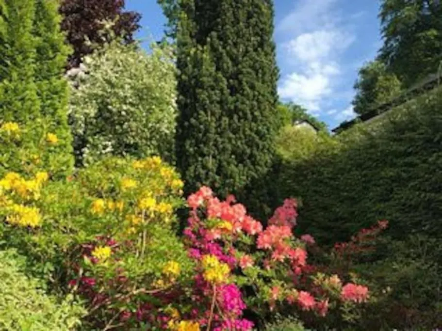 Winterfell Gorgeous Garden, Great Location * Bowness-on-Windermere