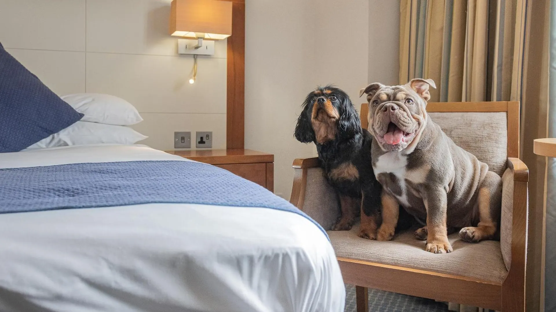 The Riverside Hotel 3*