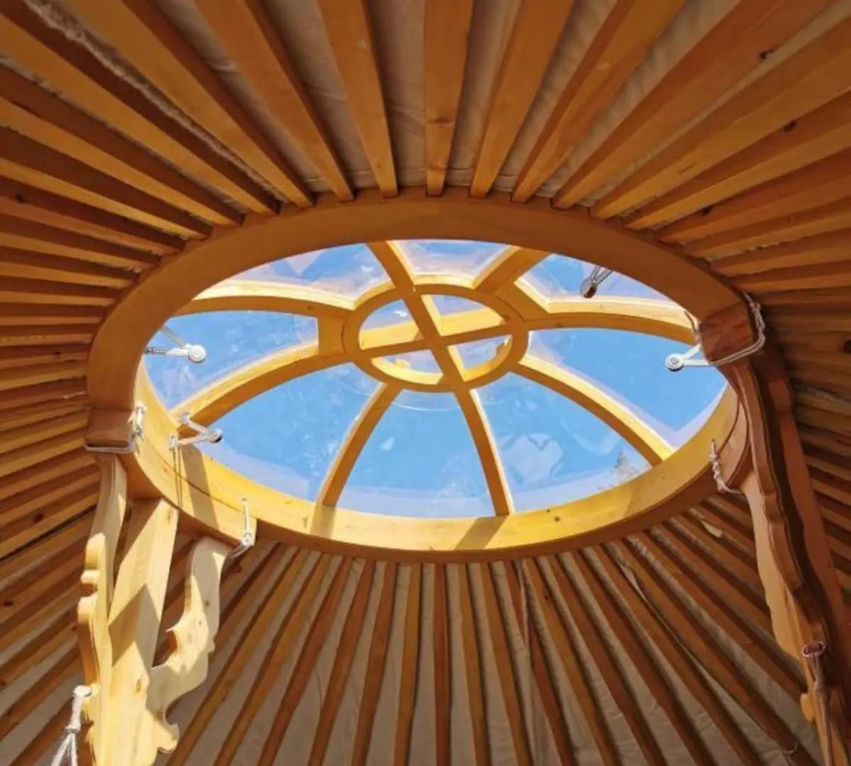 Wilding Yurt