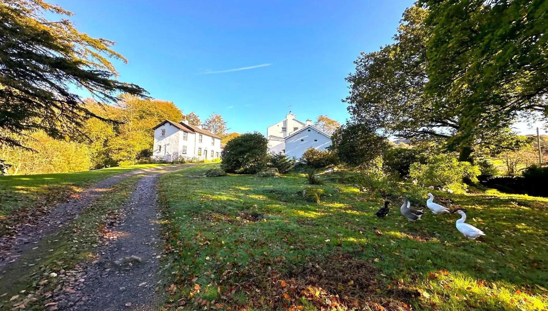 2 Bed In Eskdale Sz346