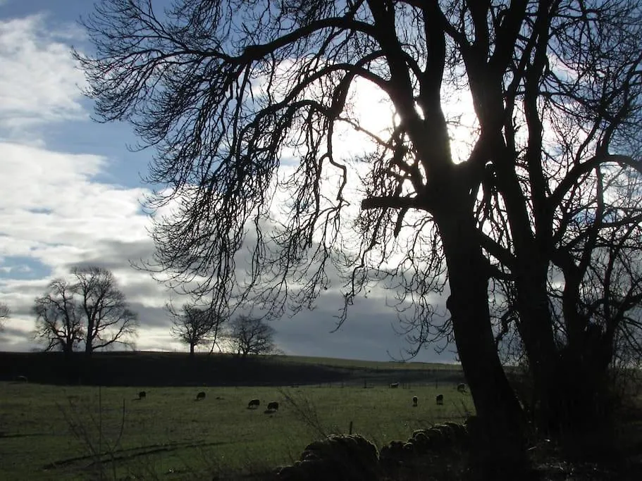 Windy Nook Glendowlin, Yanwath Ca10 2la *