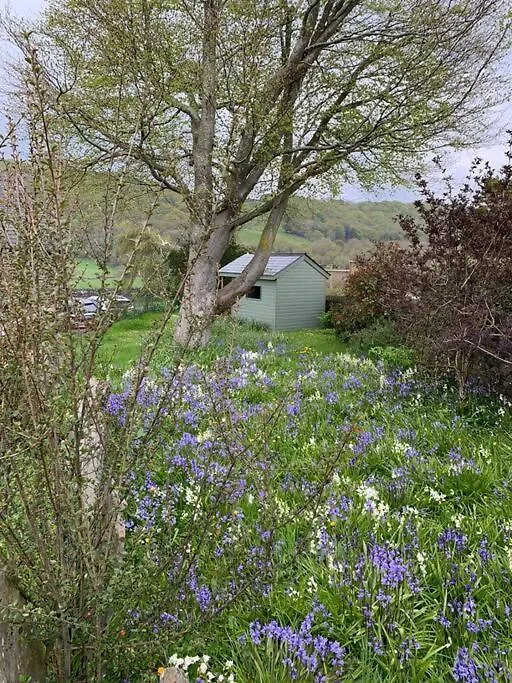 The Drumlins Holiday home *