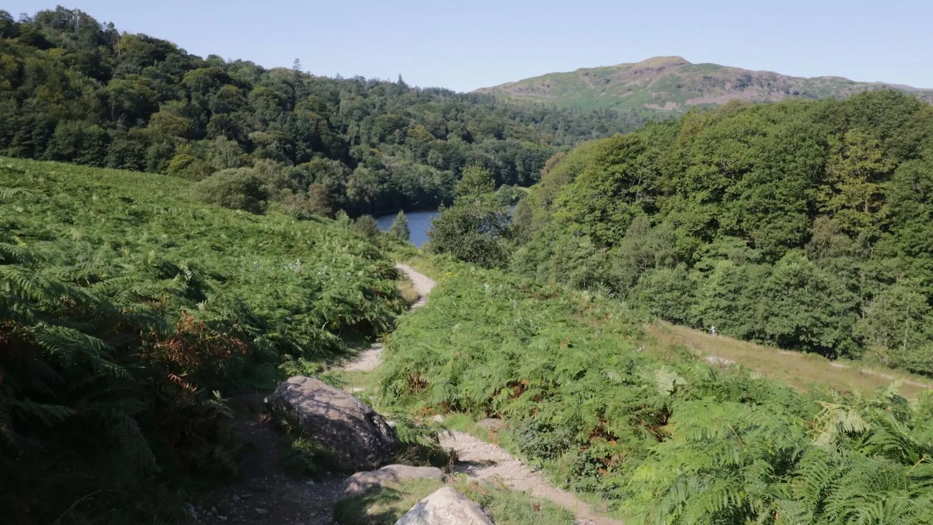 Pine Tops Windermere